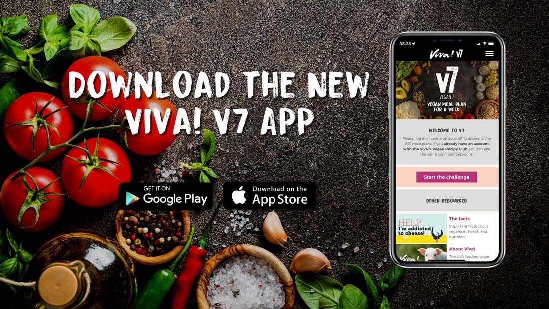 Download the V7 app